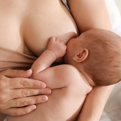 關於乳房 - 乳房大小和奶量有沒有關係?